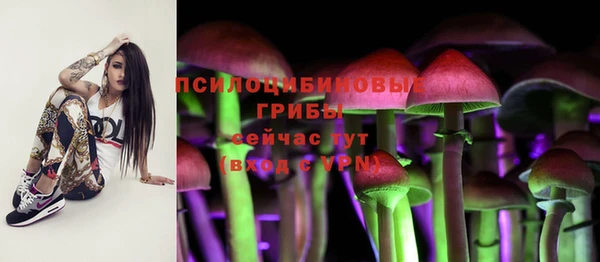 spice Курчалой