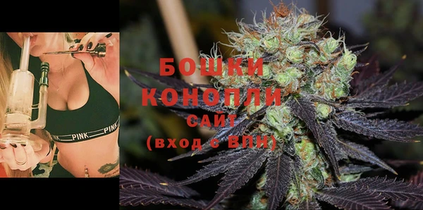 молекула духа Куровское