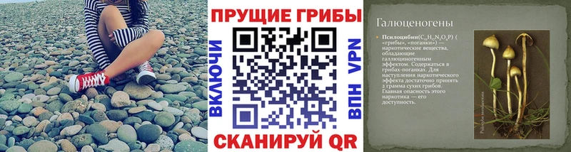 ОМГ ОМГ онион  Называевск  Псилоцибиновые грибы мухоморы 